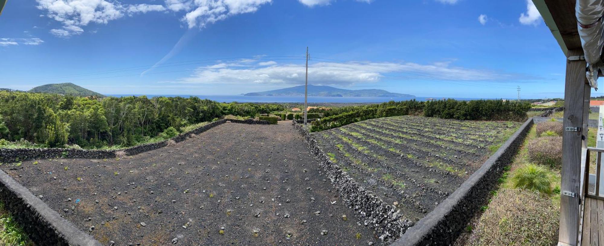 Novavista - Inn Pico Мадалена Екстер'єр фото